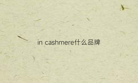 in cashmere什么品牌